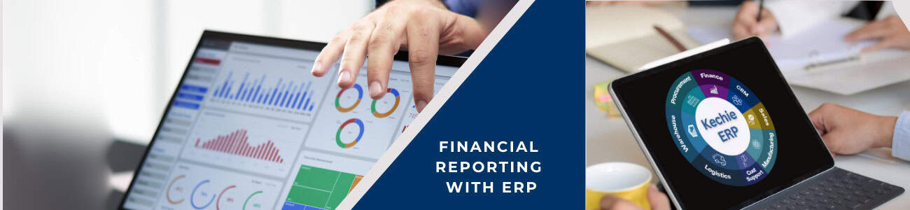 Finance Segment ERP