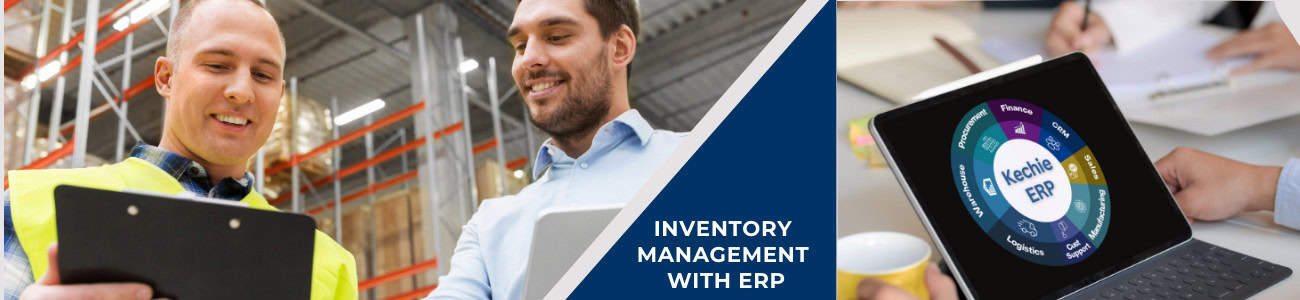 InventoryMgmt segment ERP