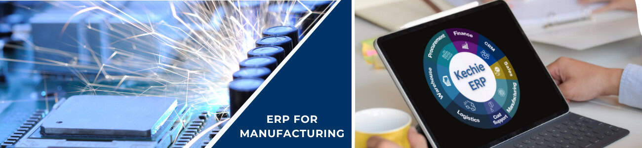 Mfg Segment ERP